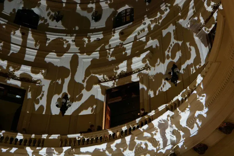 Irruption, 2009 — Light projection, slide and Pani projector