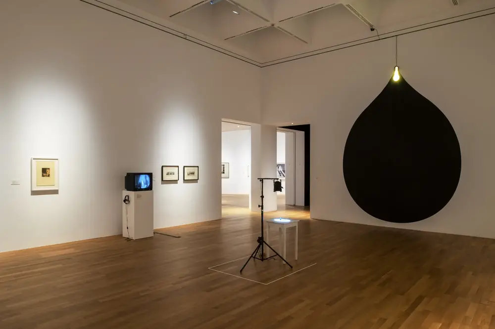 From dawn till dusk: the shadow in contemporary art