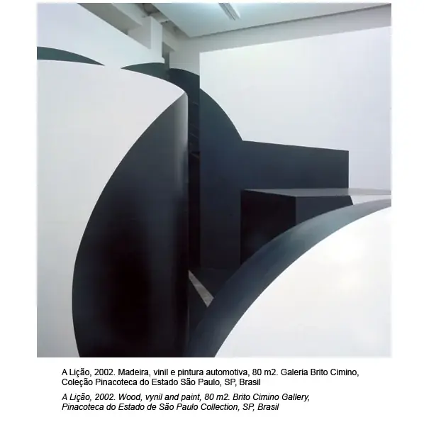 A Lição, 2016 — Madeira, vinil e pintura automotiva