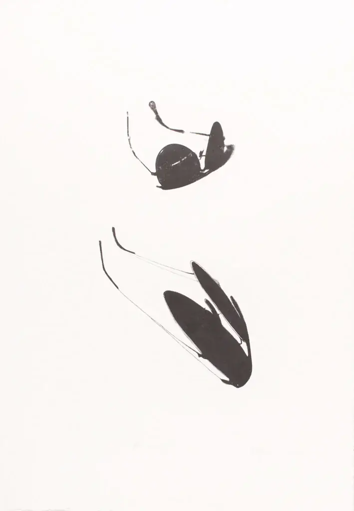 Anamorfa I, 1979 — Lithograph on paper