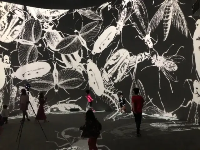 Colloquium, 2022 — Instalação interativa