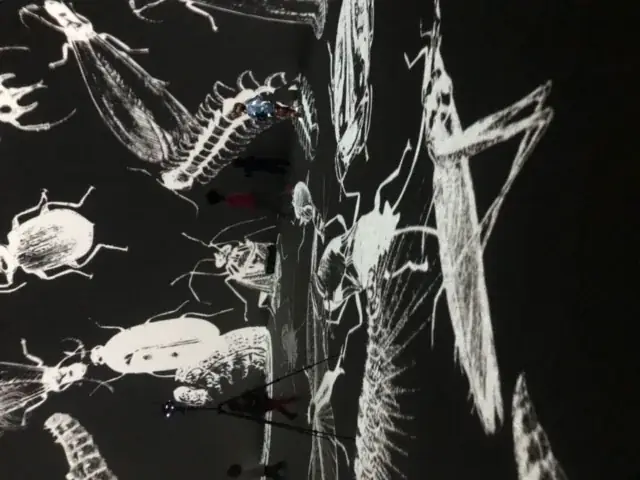 Colloquium, 2022 — Instalação interativa