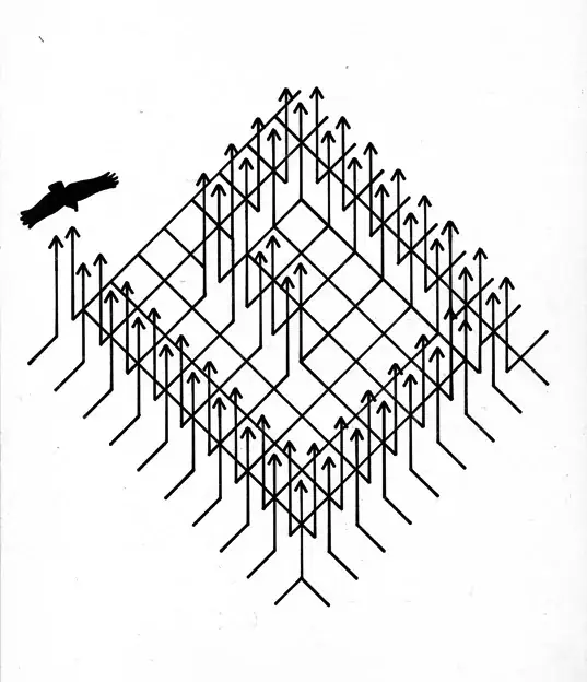 Corredores Para Abutres, 2003 — Livro de artista