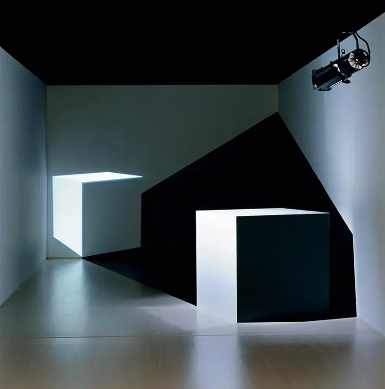 Double, 2003 — Projeção de gobo dicróico, madeira pintada e recorte em vinil adesivo