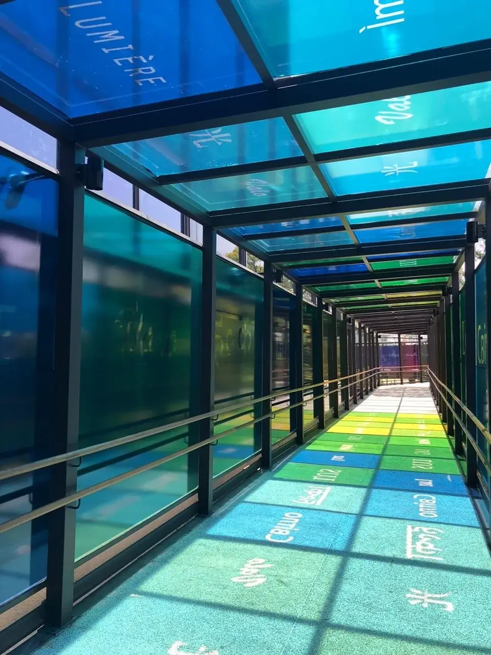 Glossário (Rainbow), 2019