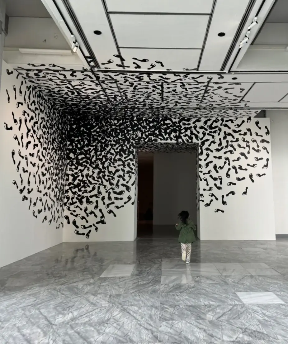 Irruption, 2009 — Light projection, slide and Pani projector