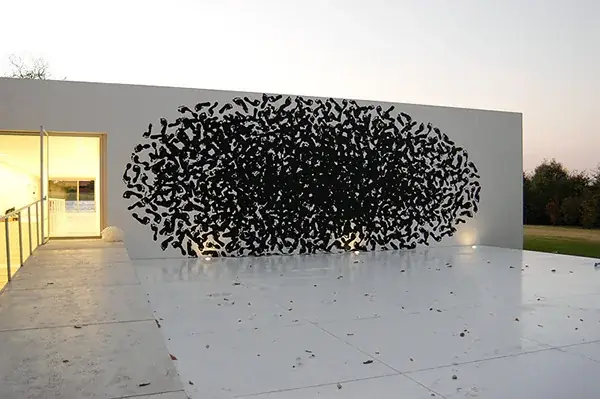 Irruption, 2009 — Light projection, slide and Pani projector