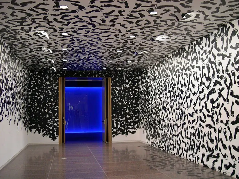 Irruption, 2009 — Light projection, slide and Pani projector