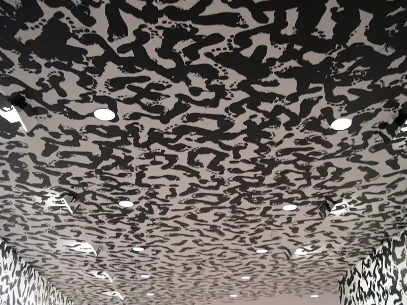 Irruption, 2009 — Light projection, slide and Pani projector
