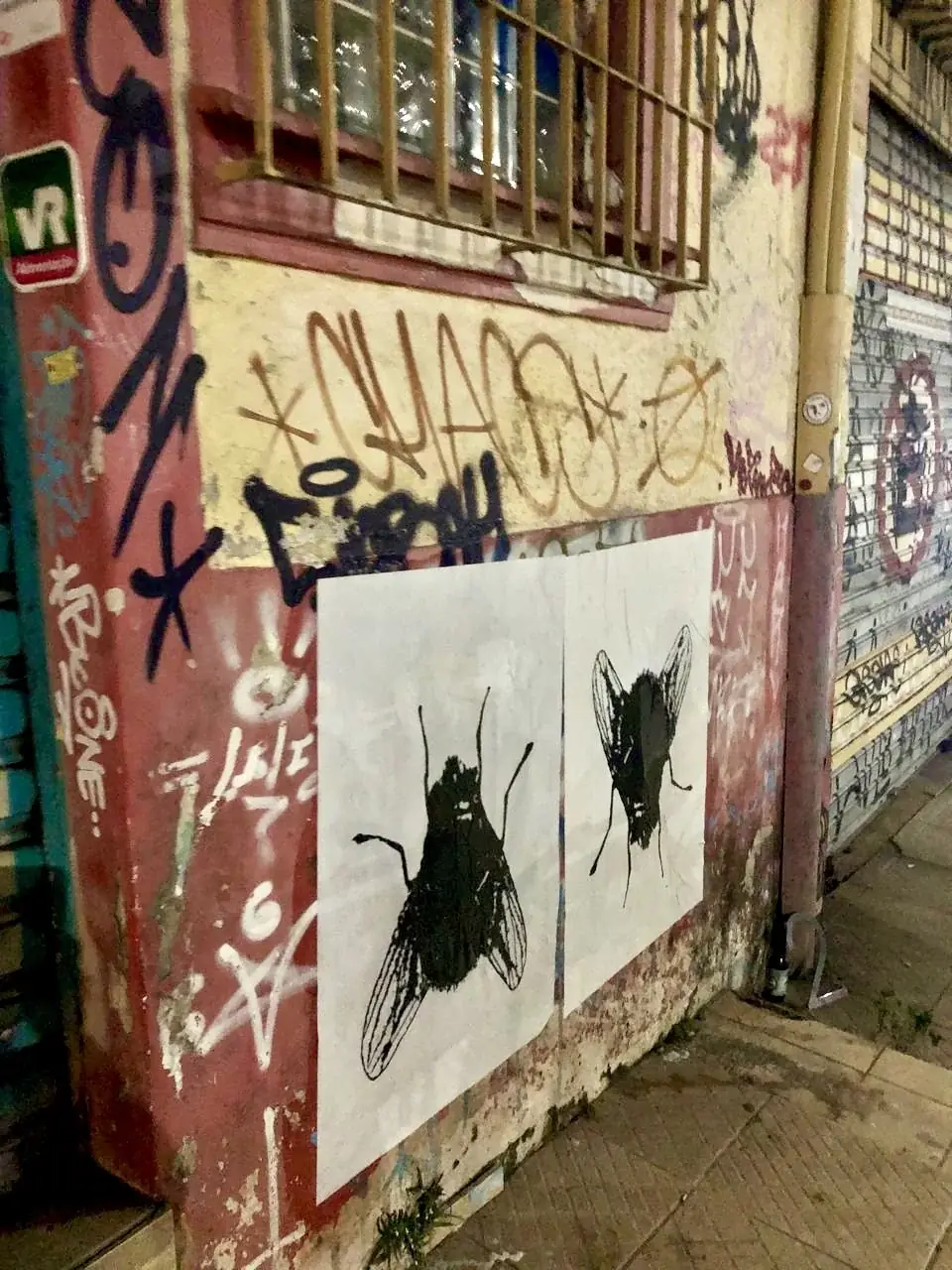 Moscaglia, 2018 — Lambe-lambe