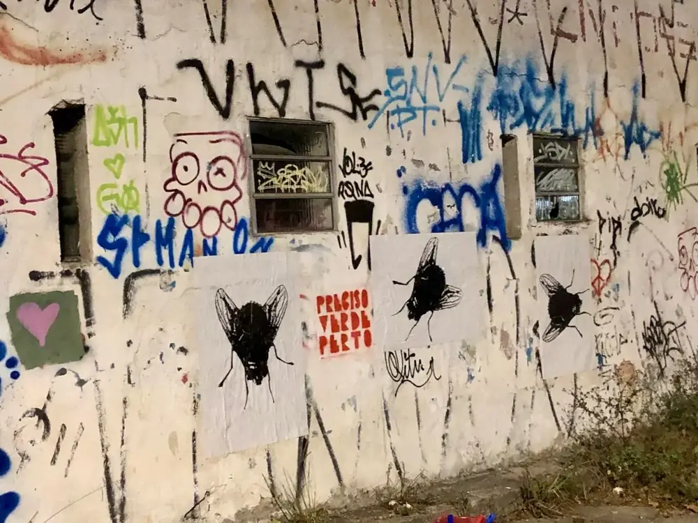 Moscaglia, 2018 — Lambe-lambe