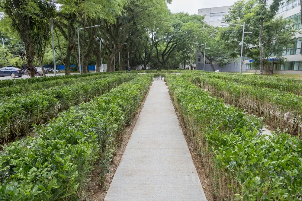 Mundo, 2017 — Praça Milton Santos, USP, São Paulo