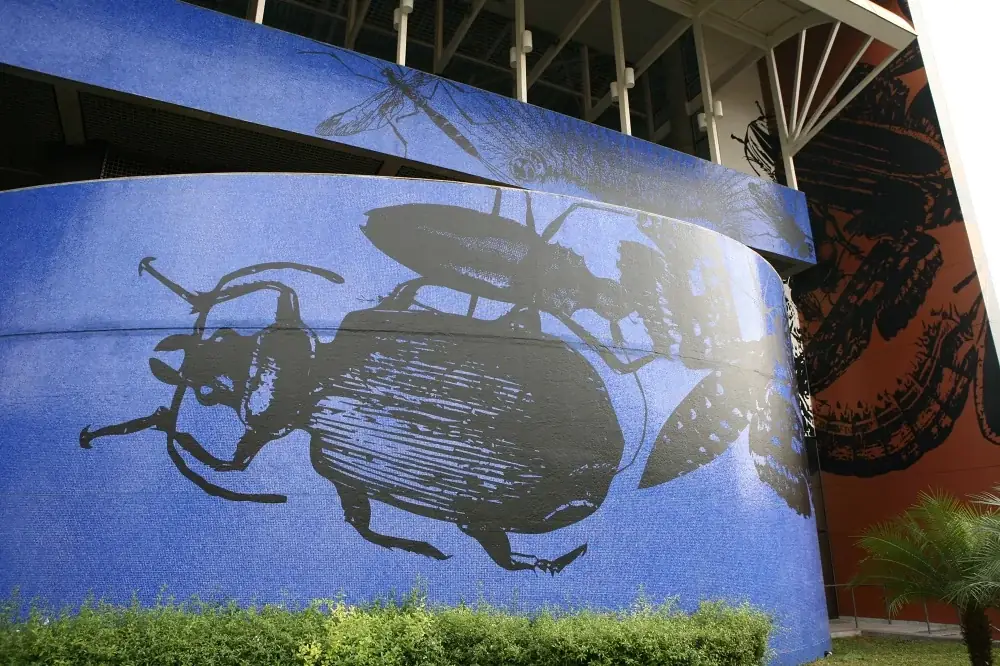 Mundus Admirabilis, 2020 — Adhesive vinyl