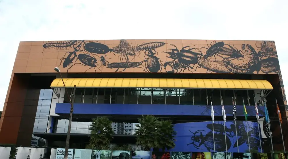 Mundus Admirabilis, 2020 — Adhesive vinyl
