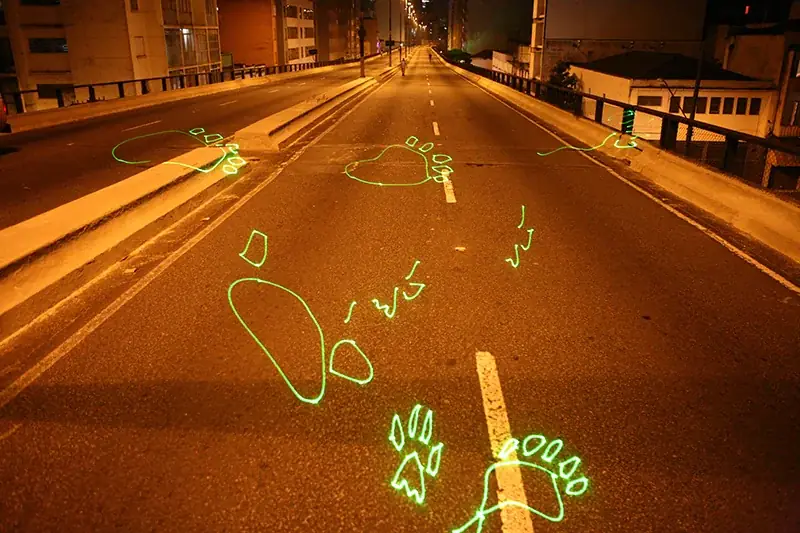 Passeio Selvagem, 2009 — Digital animation, laser projection