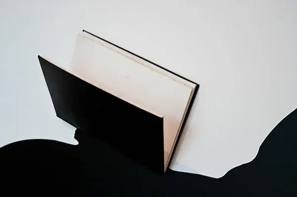 Transitório/Durévole, 2018 — Vinil adesivo e livro