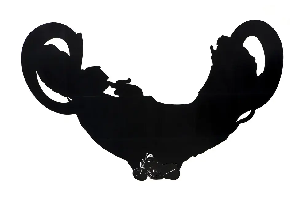 Velox Series, 1998 — Serigrafia sobre poliestireno e brinquedo